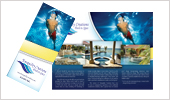 Print Brochures